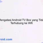 Cara Mengatasi Android TV Box yang Tidak Bisa Terhubung ke Wifi