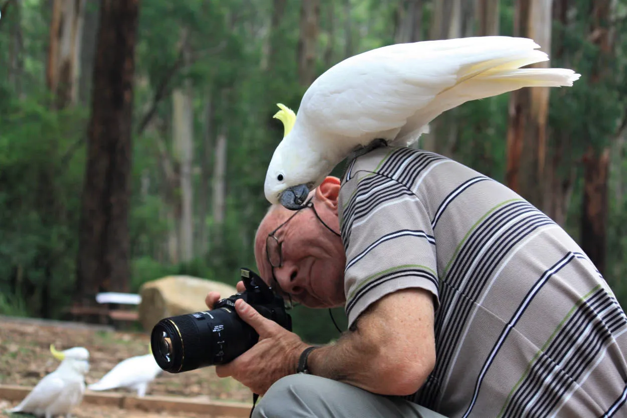 Advanced Camera Settings for Perfect Wildlife Shots