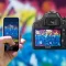 Camera vs. Smartphone: A Comparison in Image Quality