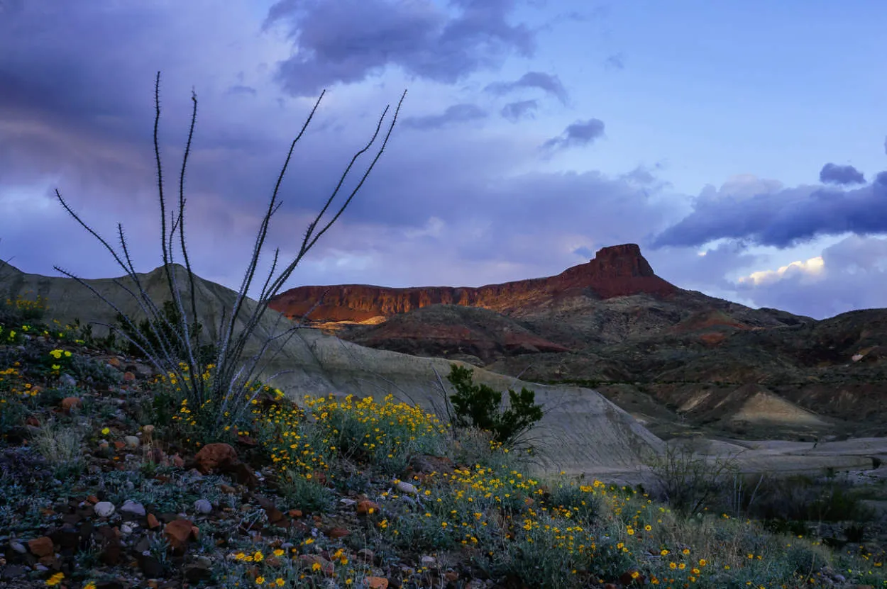 Essential Tips for Sharp Landscape Photography