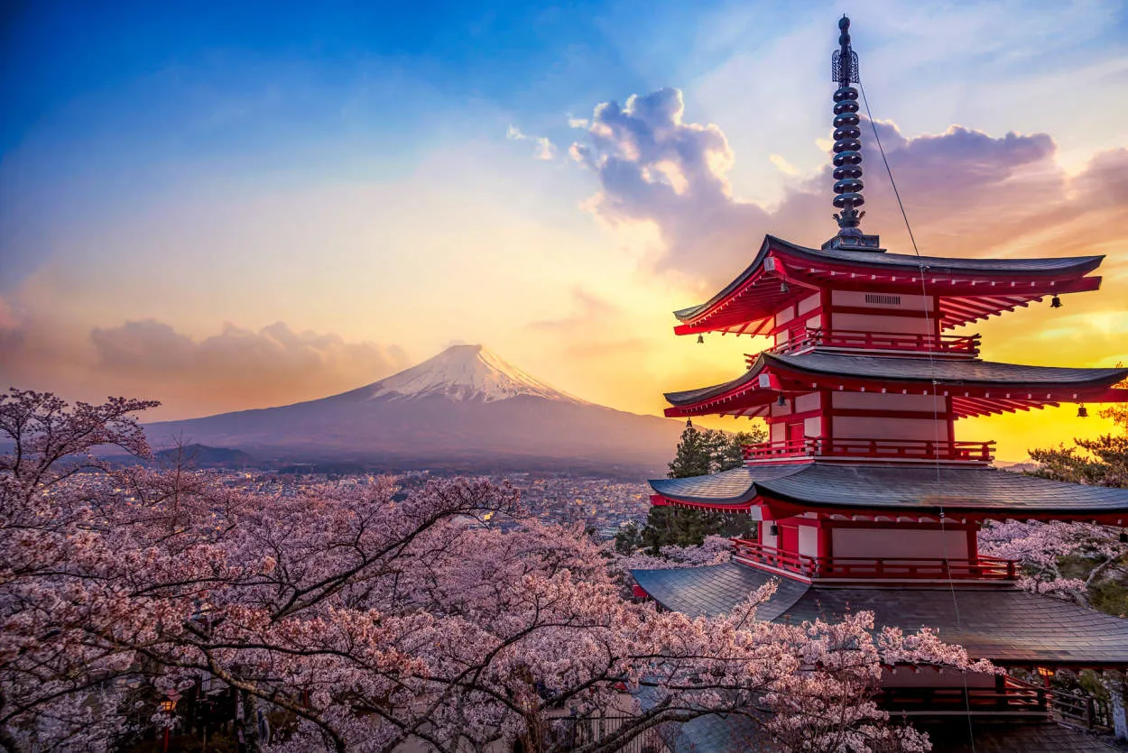 Japan's Camera Accessories: Enhancing Your Photography Experience