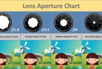 The Importance of Lens Quality in Camera Selection
