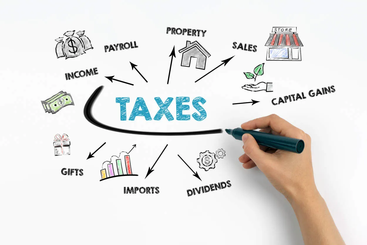 The Impact of Tax Laws on Small Businesses