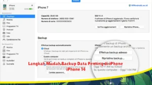 Langkah Mudah Backup Data Penting di iPhone 14