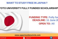 Athletic Scholarships in Japan: Opportunities and Application Advice