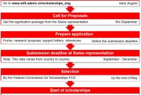 Navigating the Interview Process for Swiss Scholarships